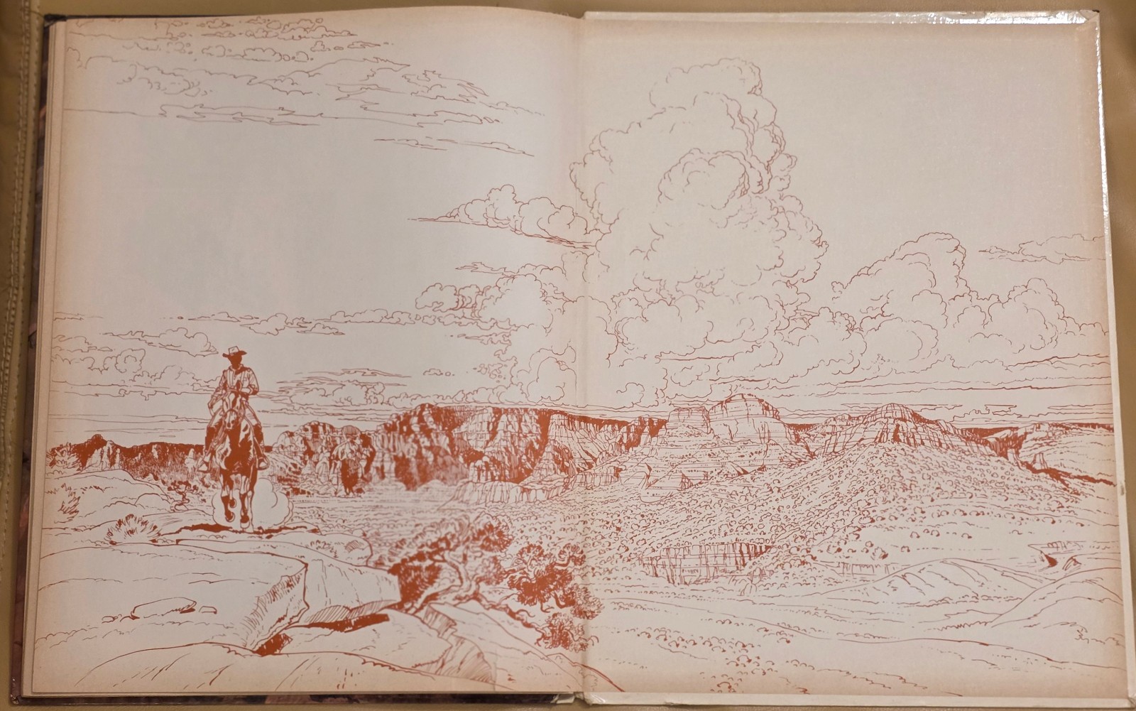 Image 15