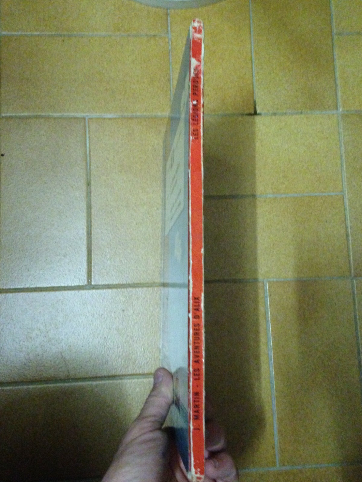 Image 7