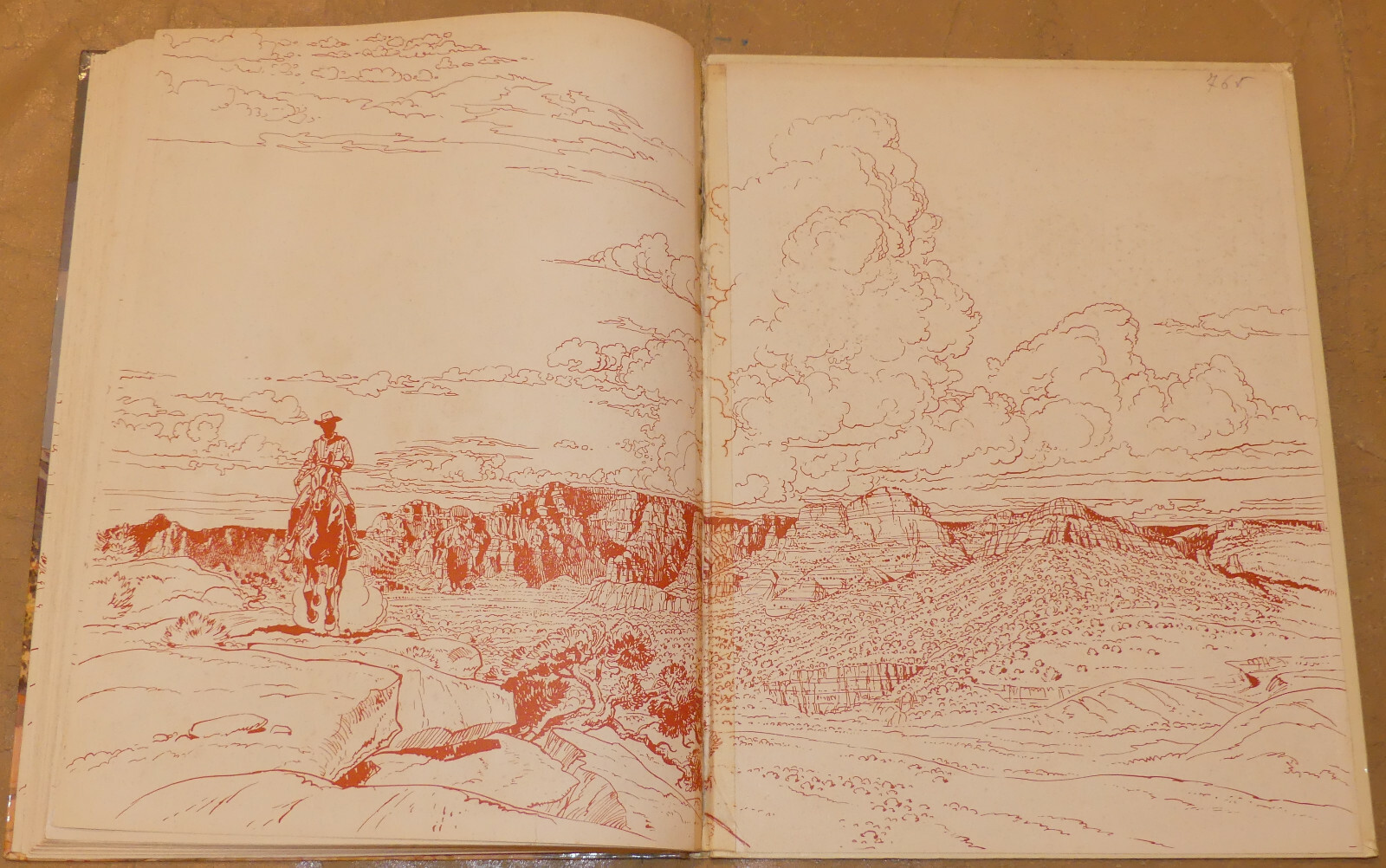 Image 11