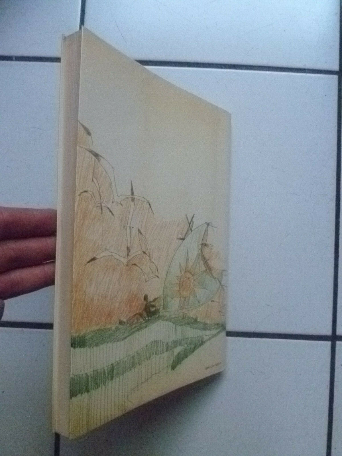 Image 3
