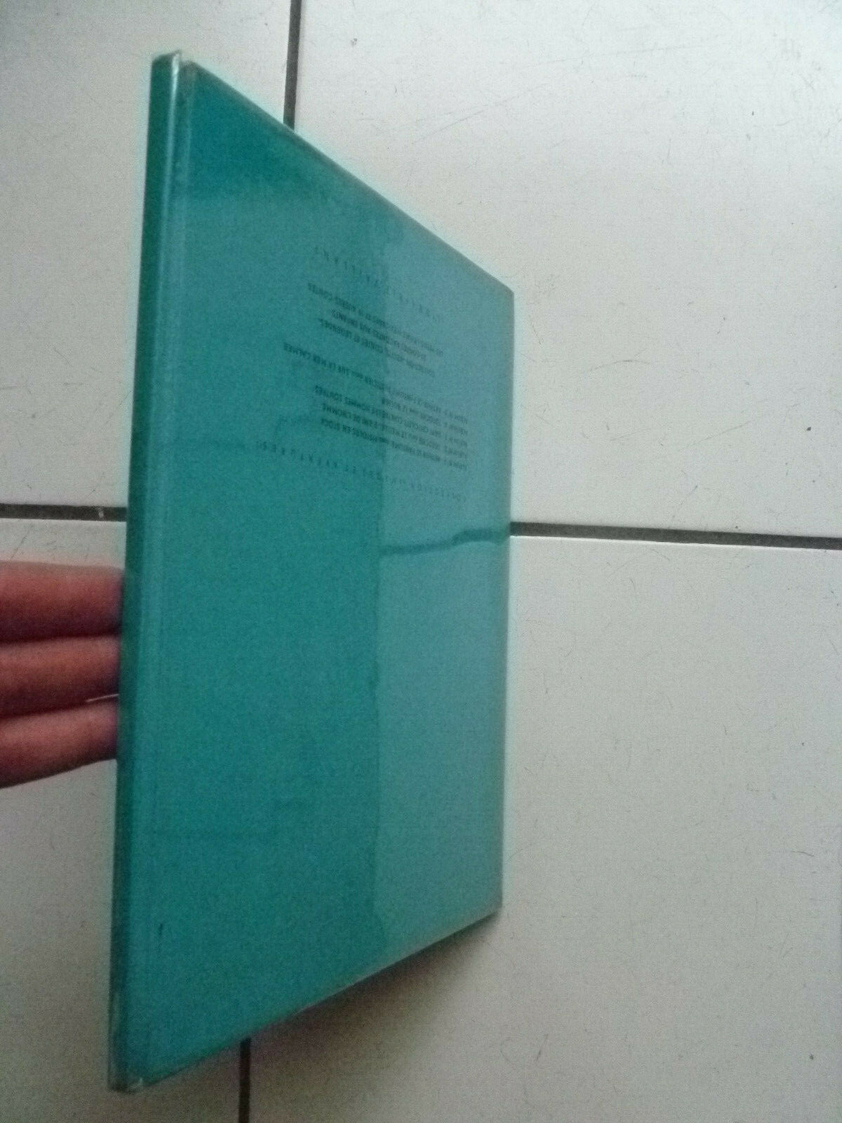 Image 8