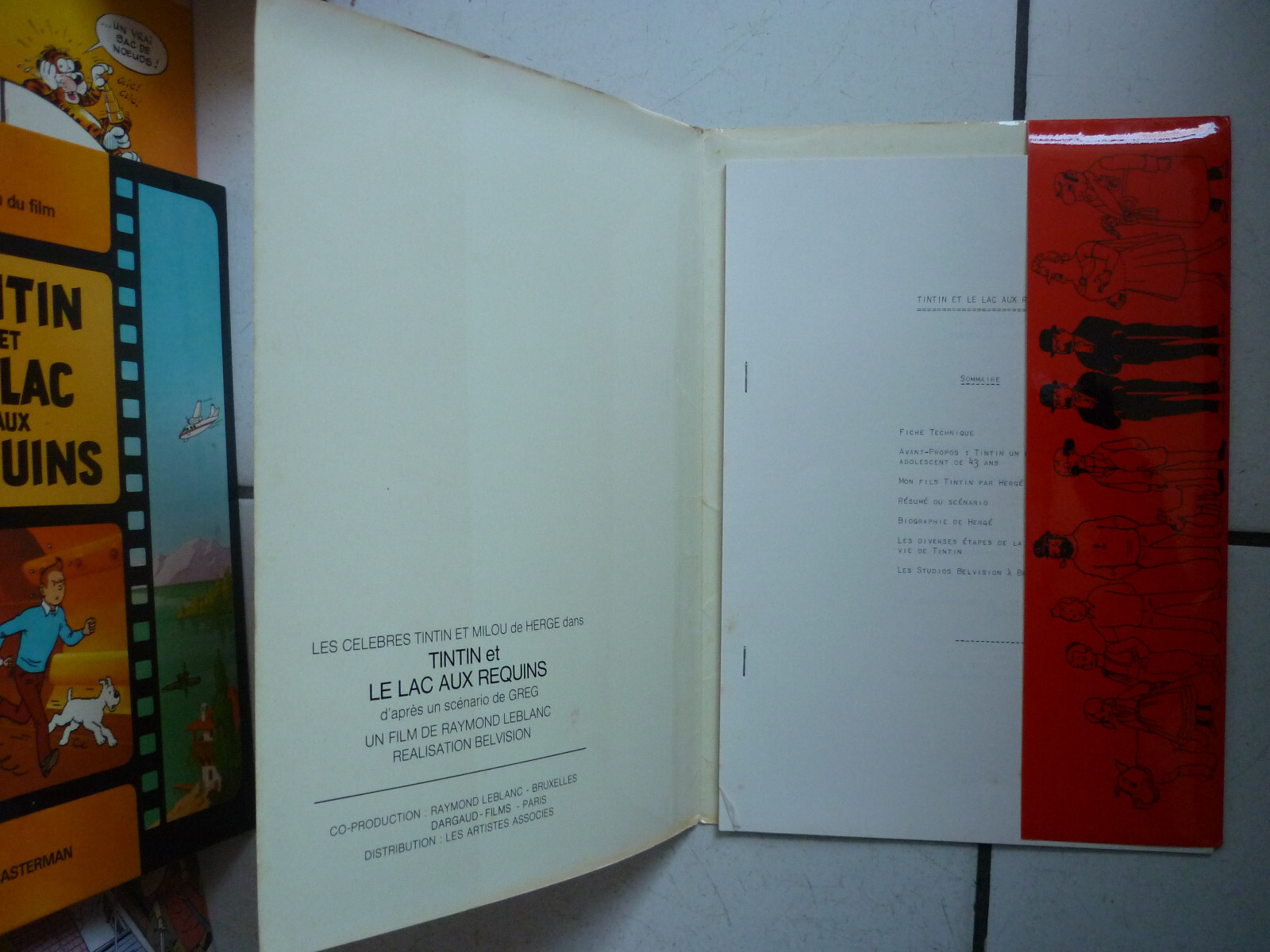 Image 5