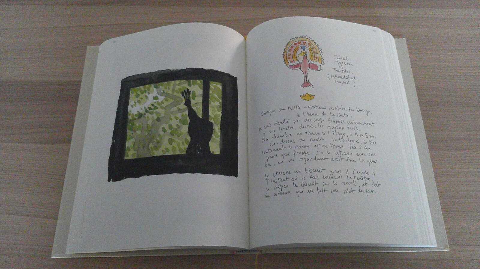 Image 5