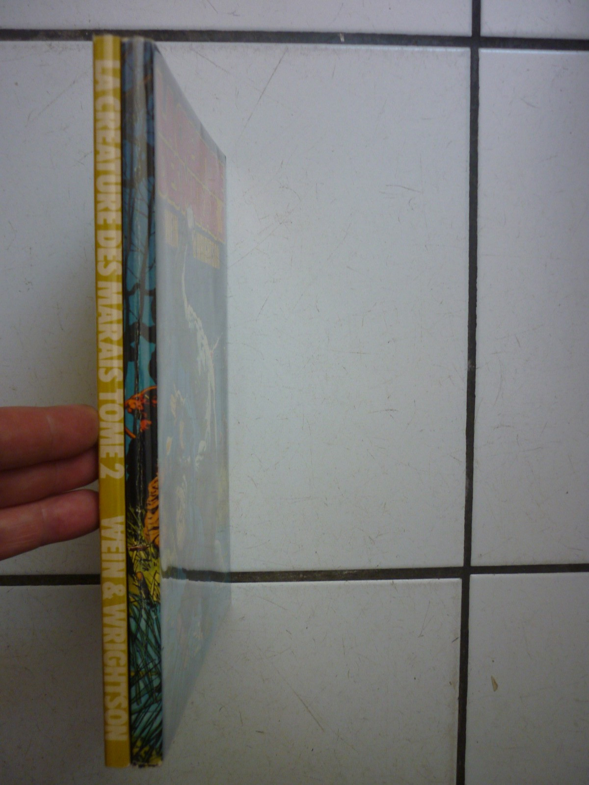 Image 6