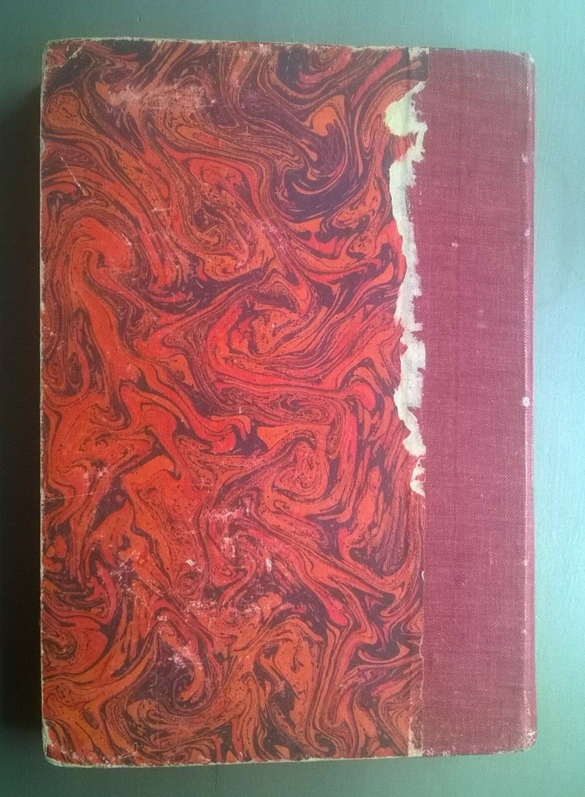 Image 11