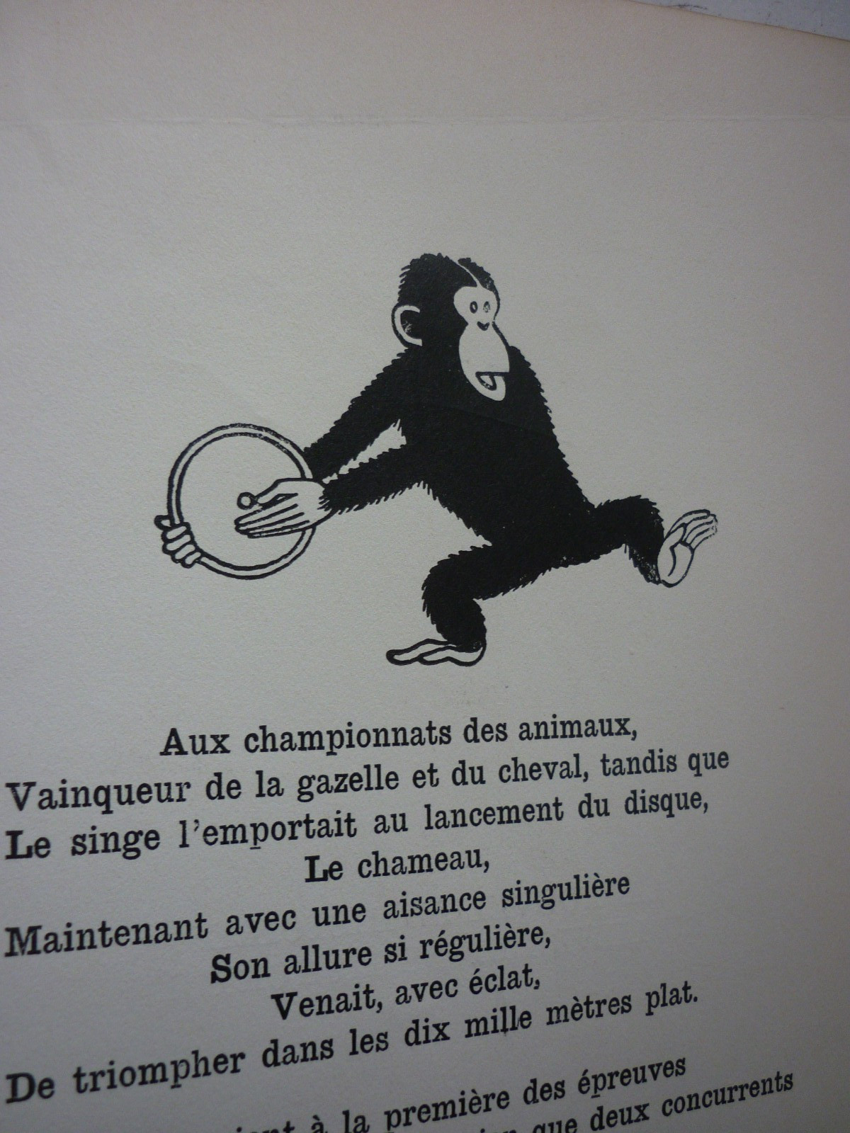 Image 13