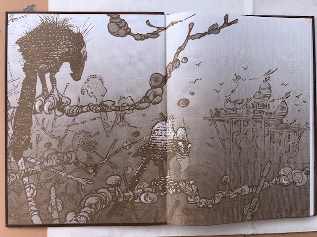 Image 6