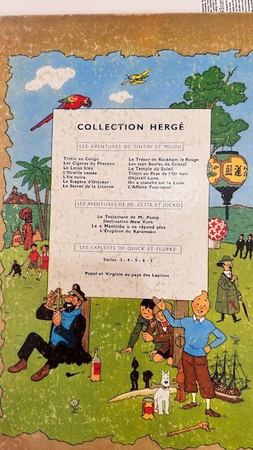 Image 7
