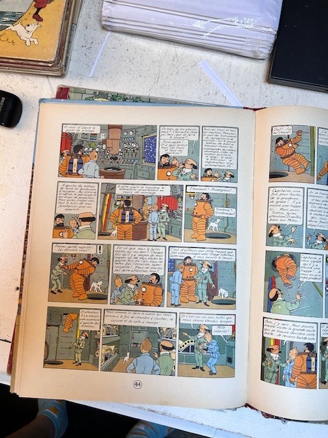 Image 5