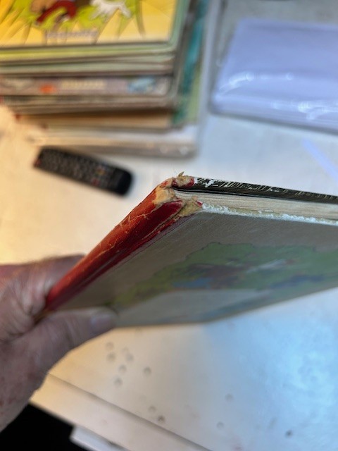 Image 9