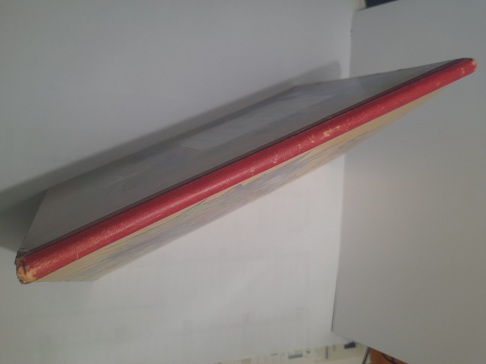 Image 7