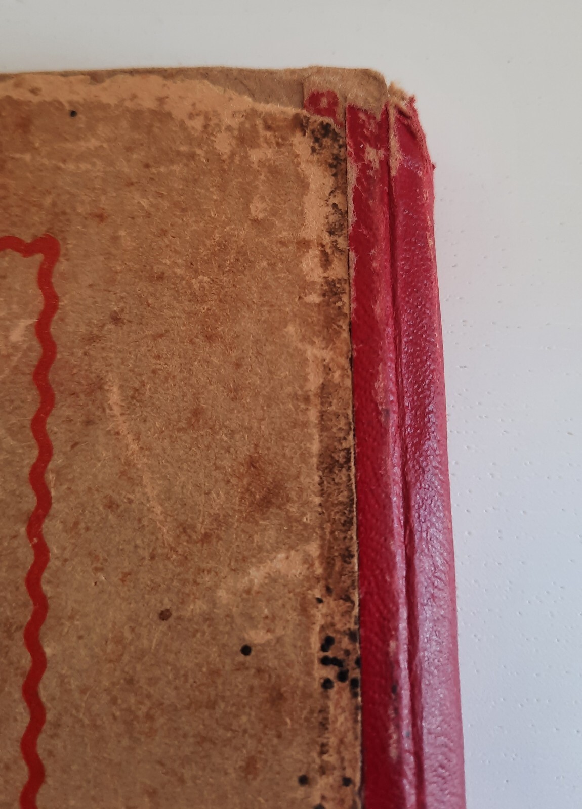 Image 21