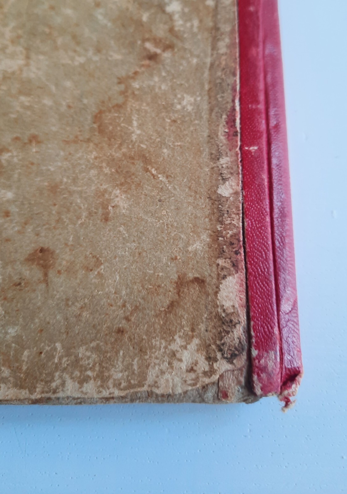 Image 22