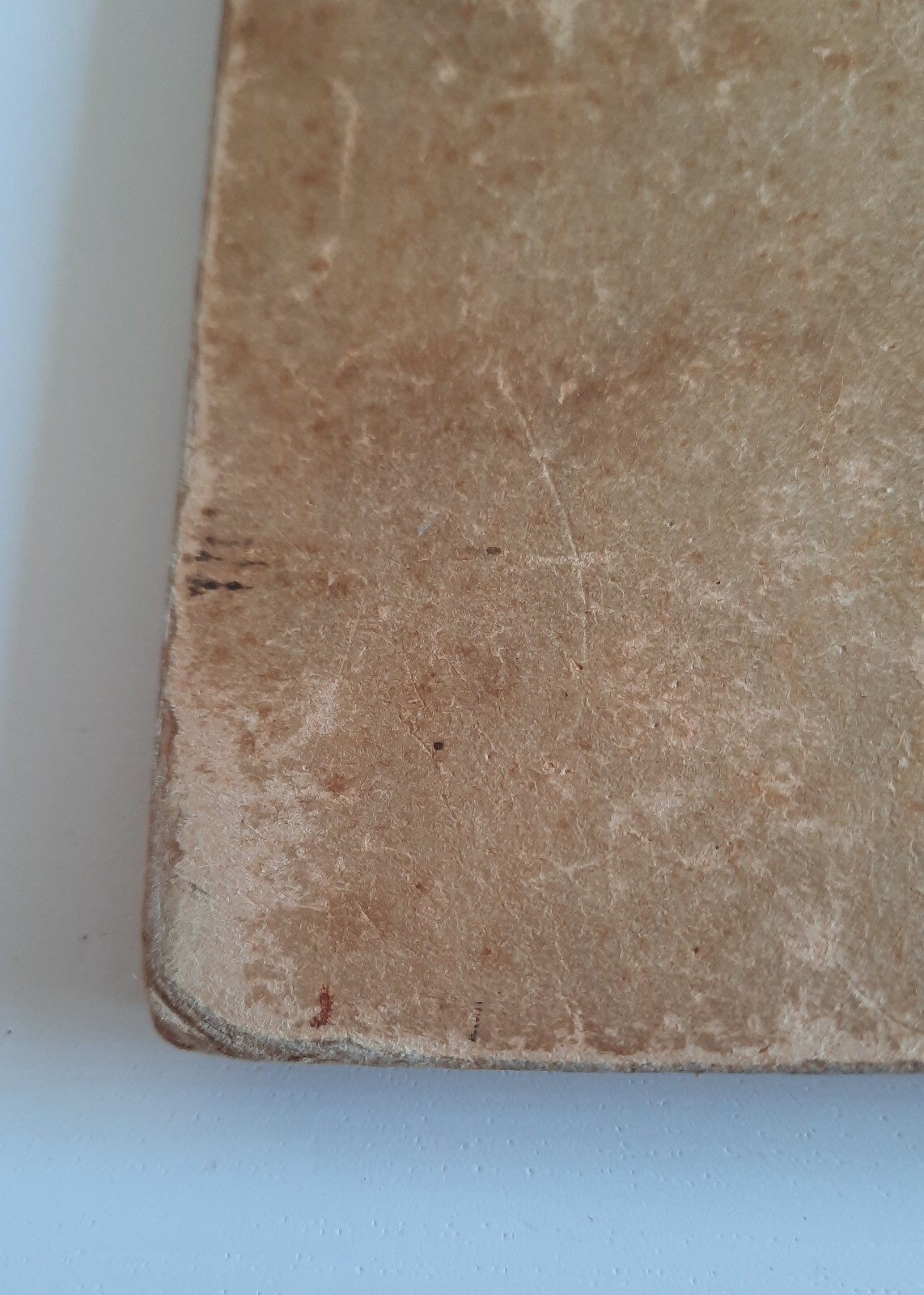Image 23