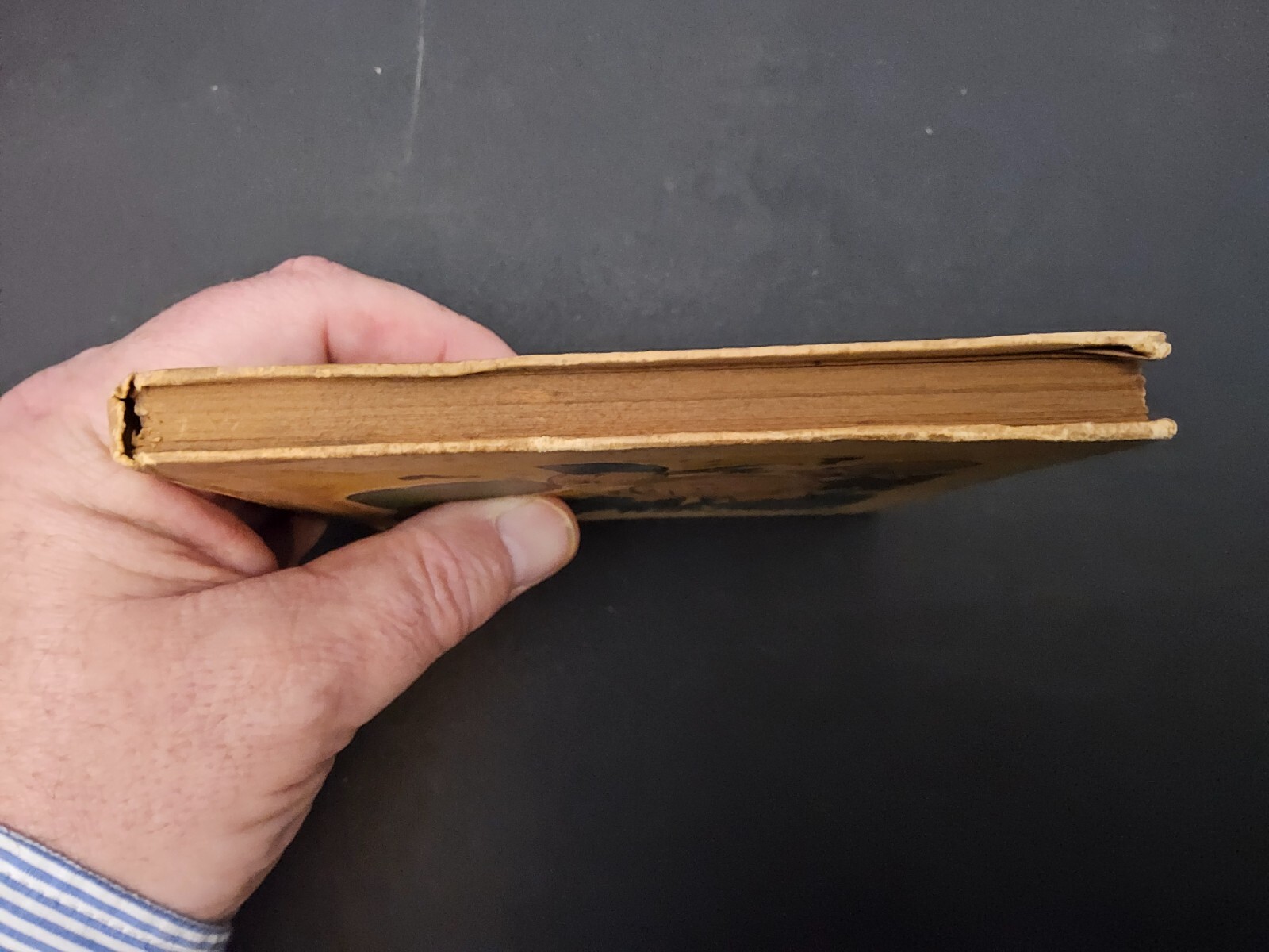 Image 3