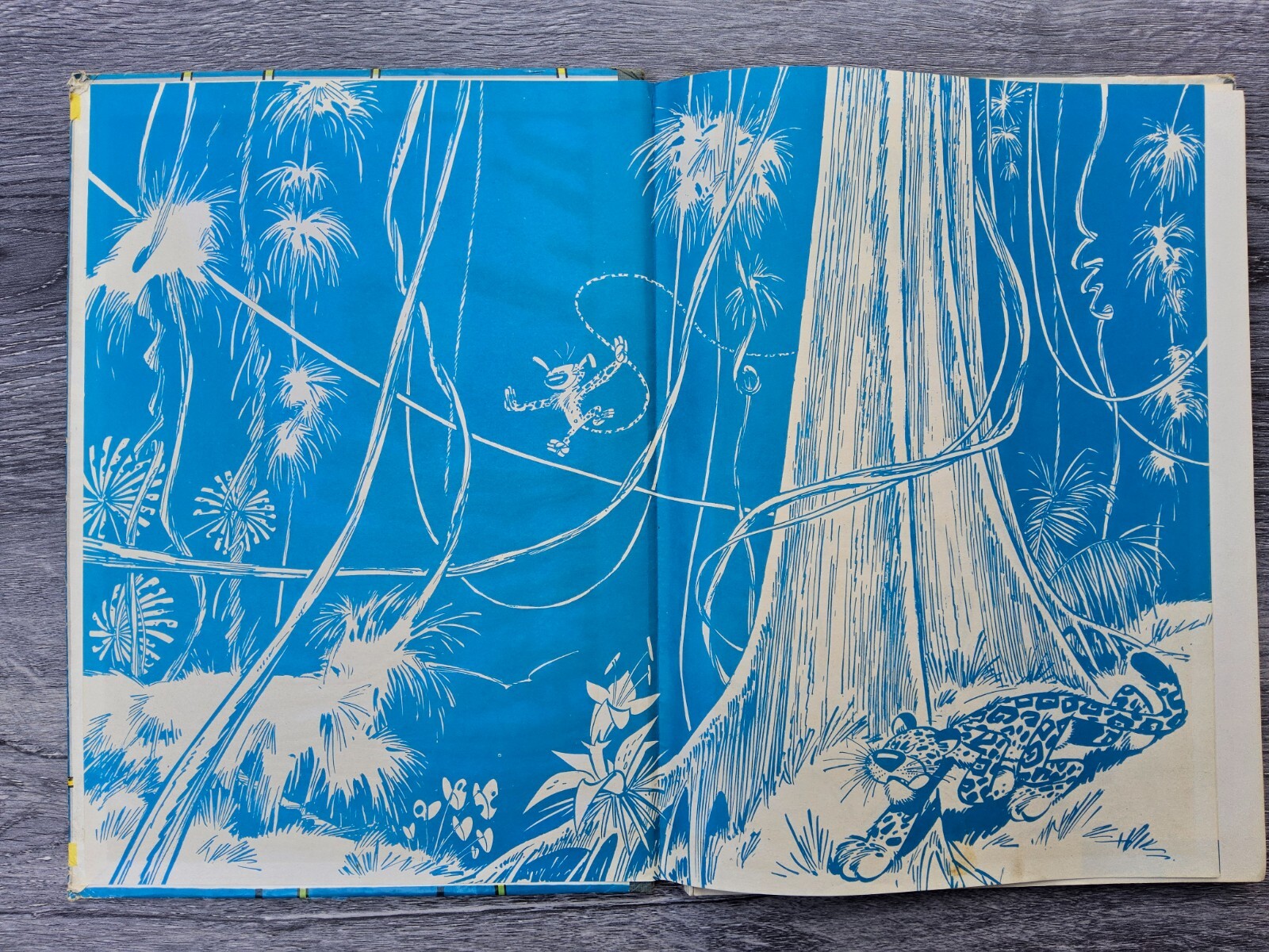 Image 3