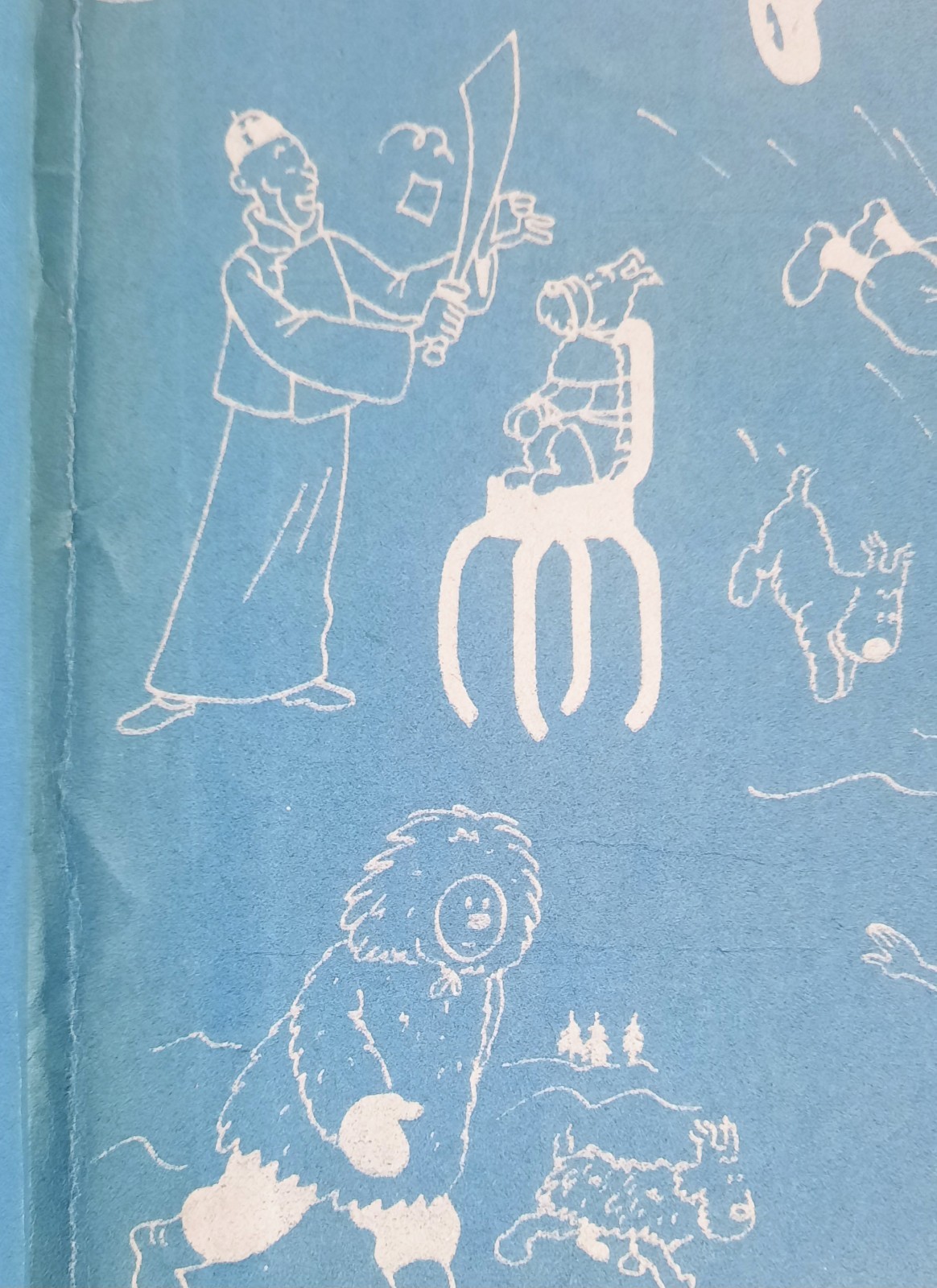 Image 19