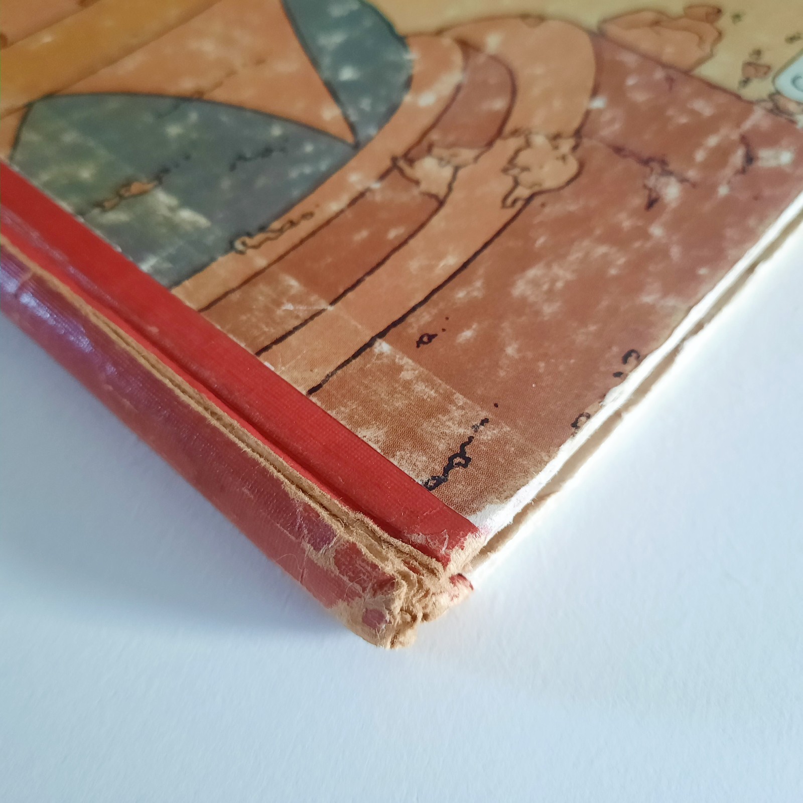 Image 5