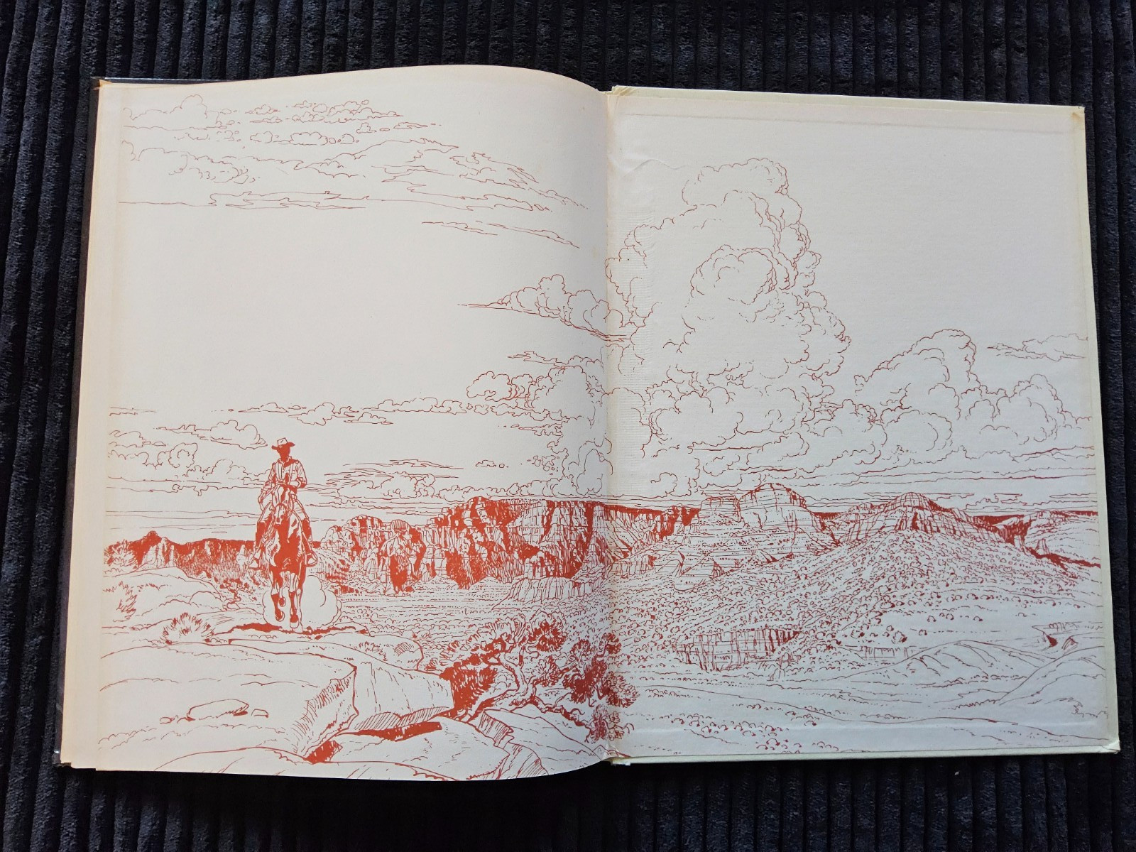 Image 12