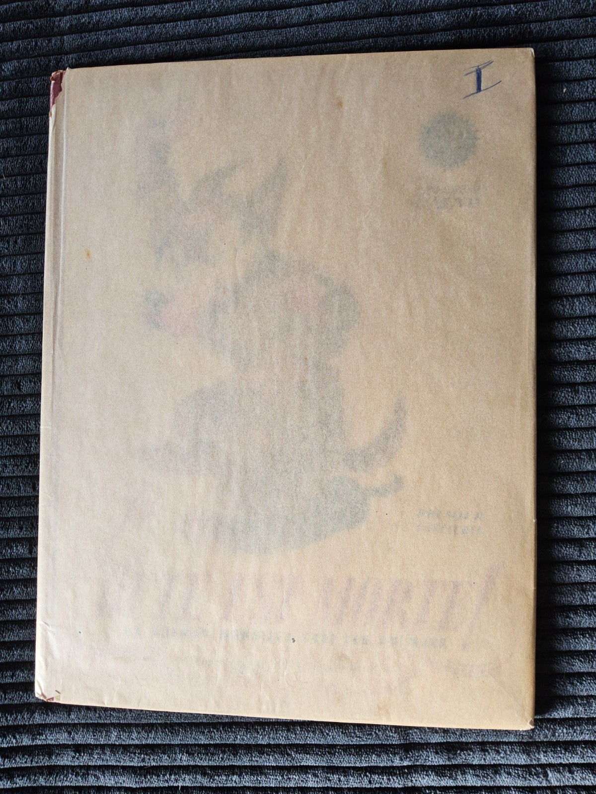 Image 12