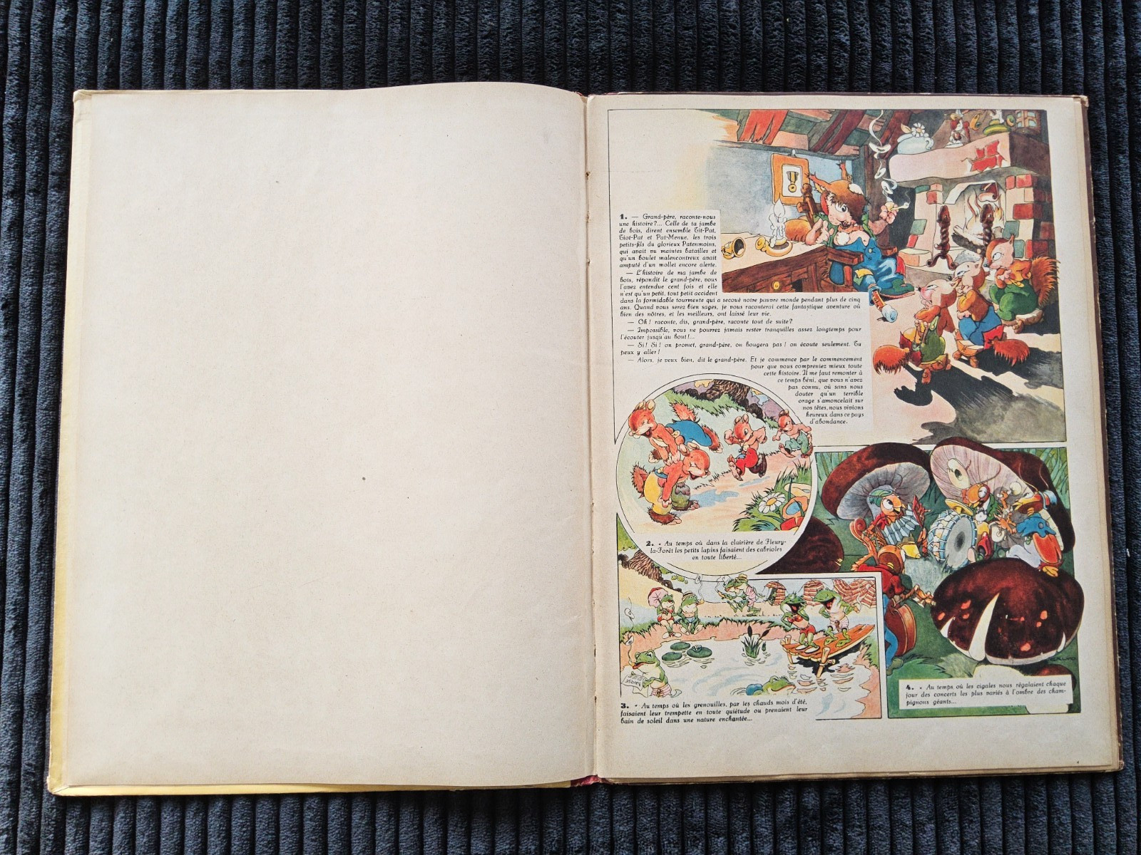 Image 5