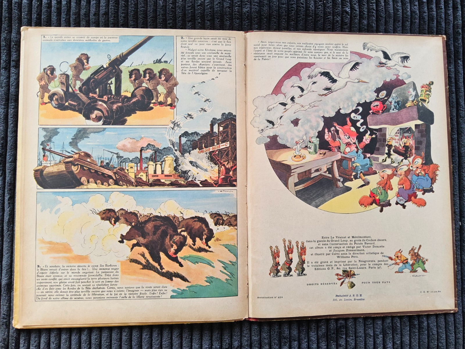 Image 7