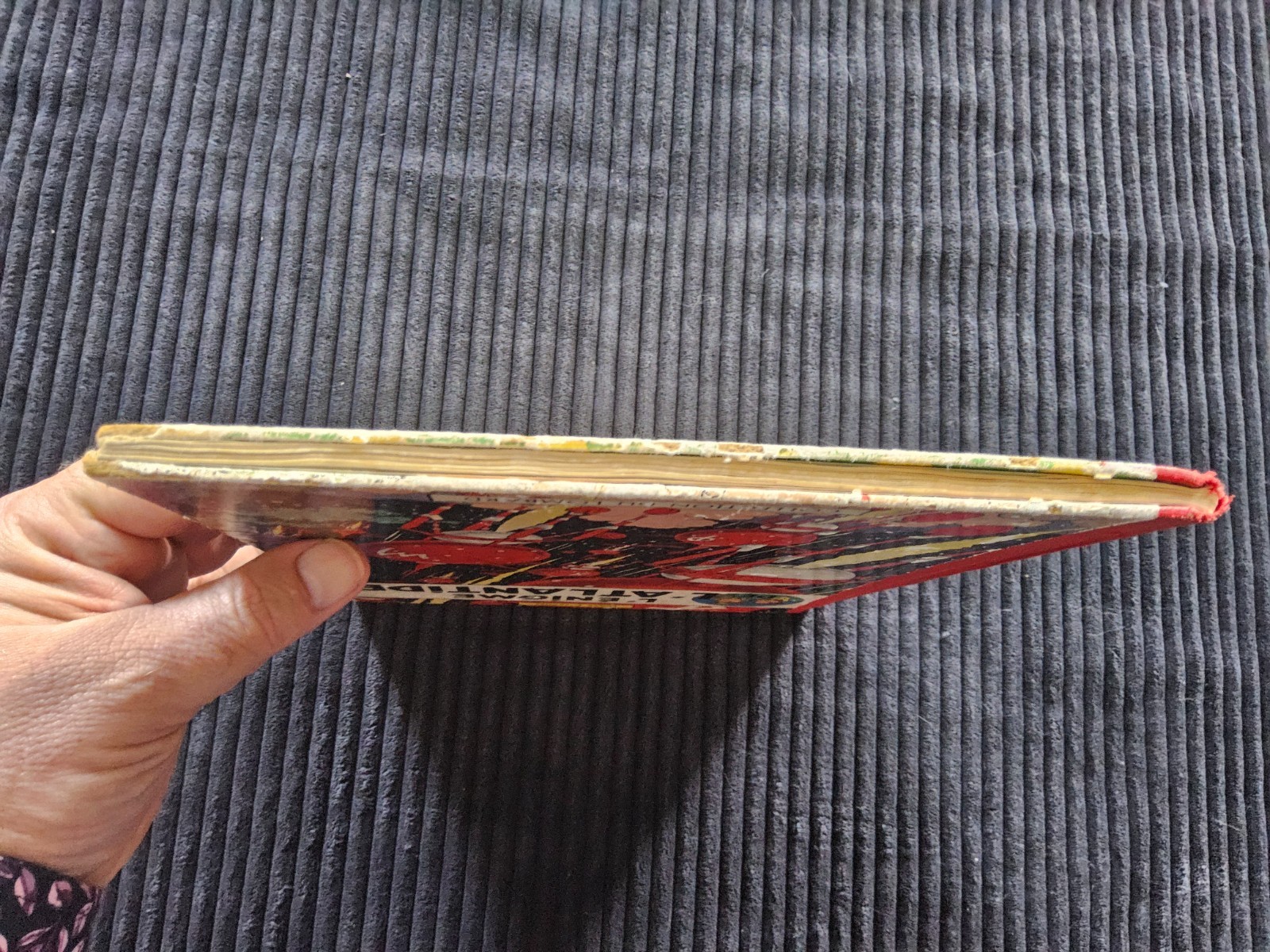 Image 5