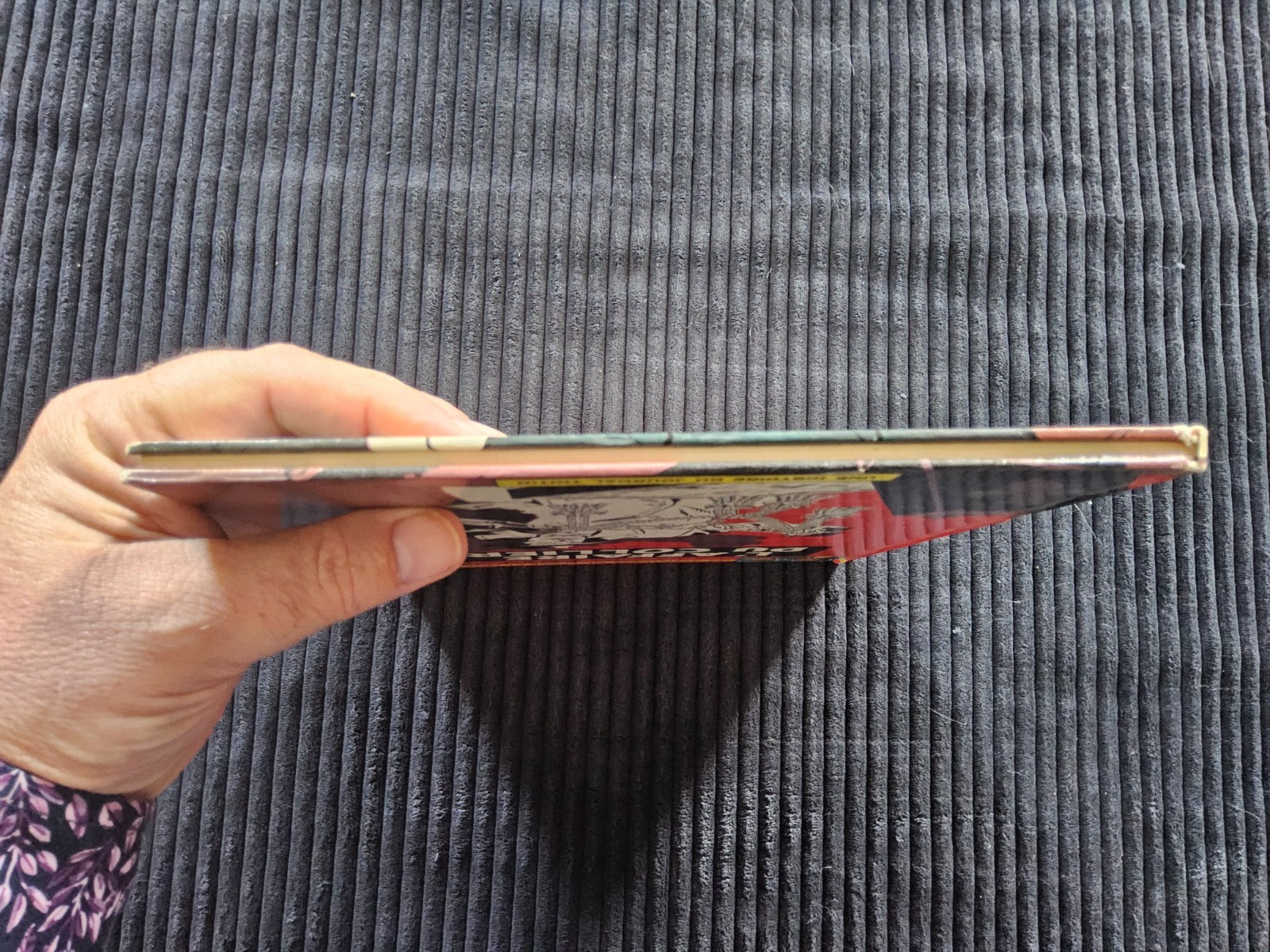 Image 5