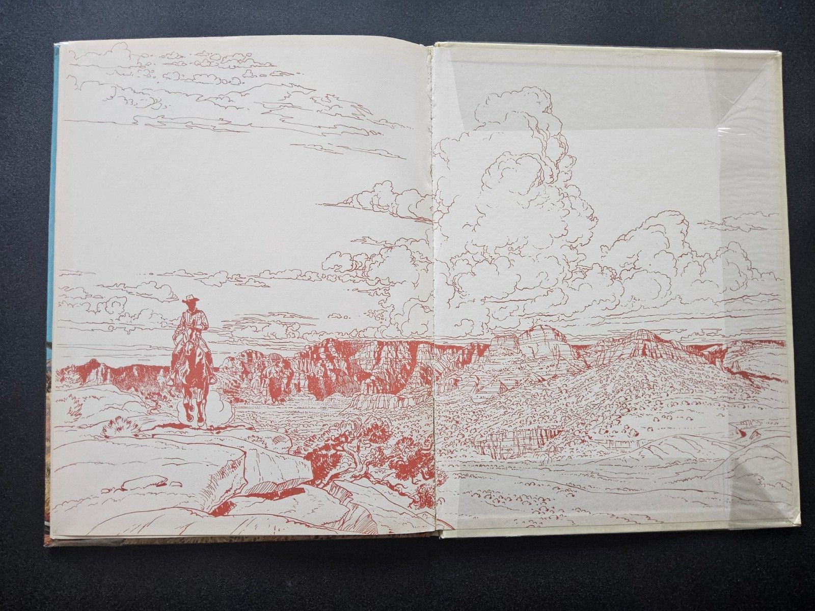 Image 11