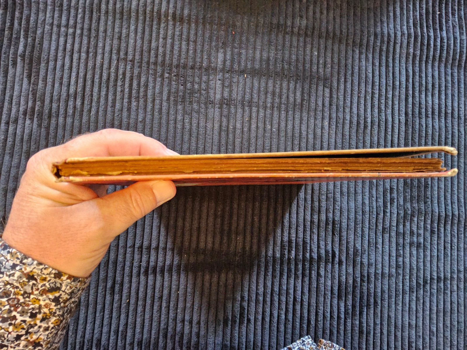 Image 3