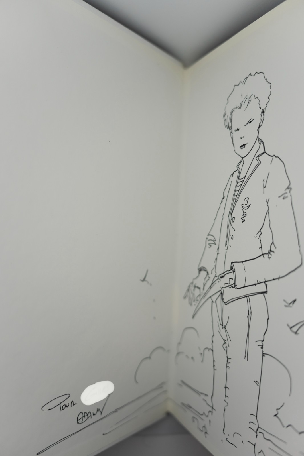 Image 3