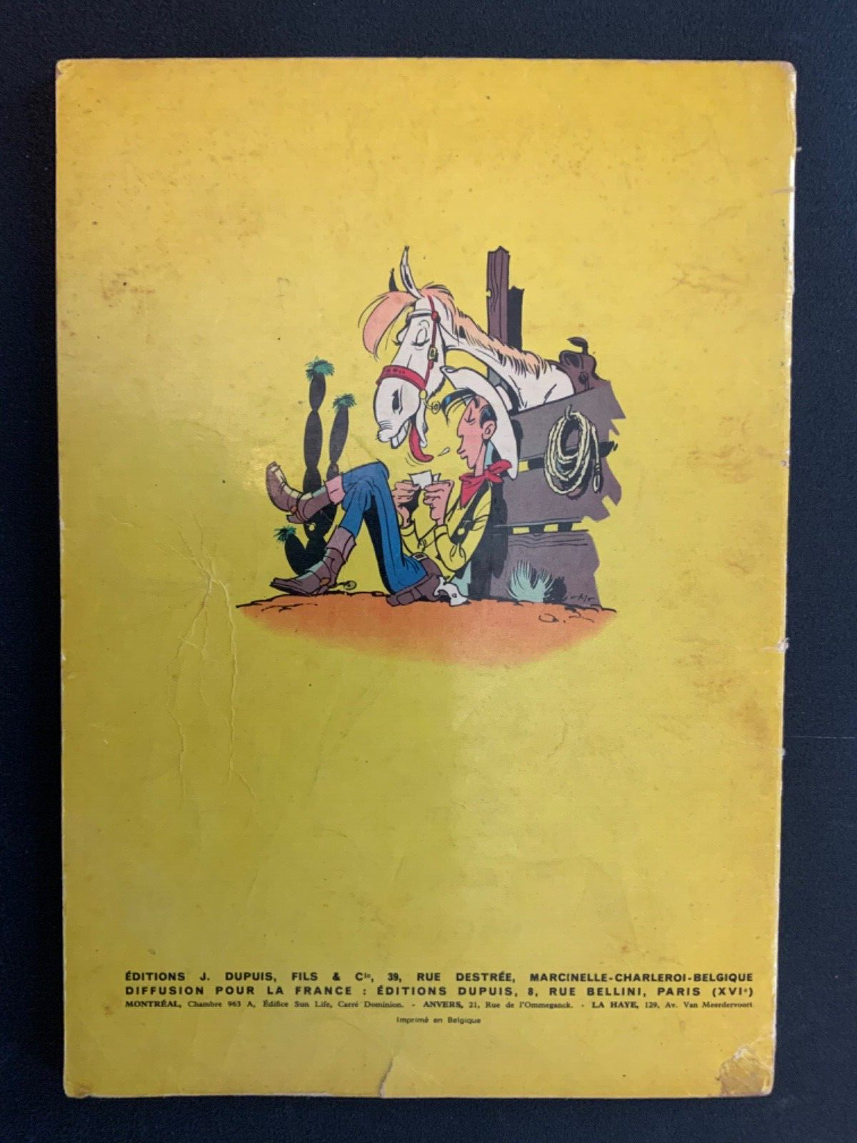 Image 7
