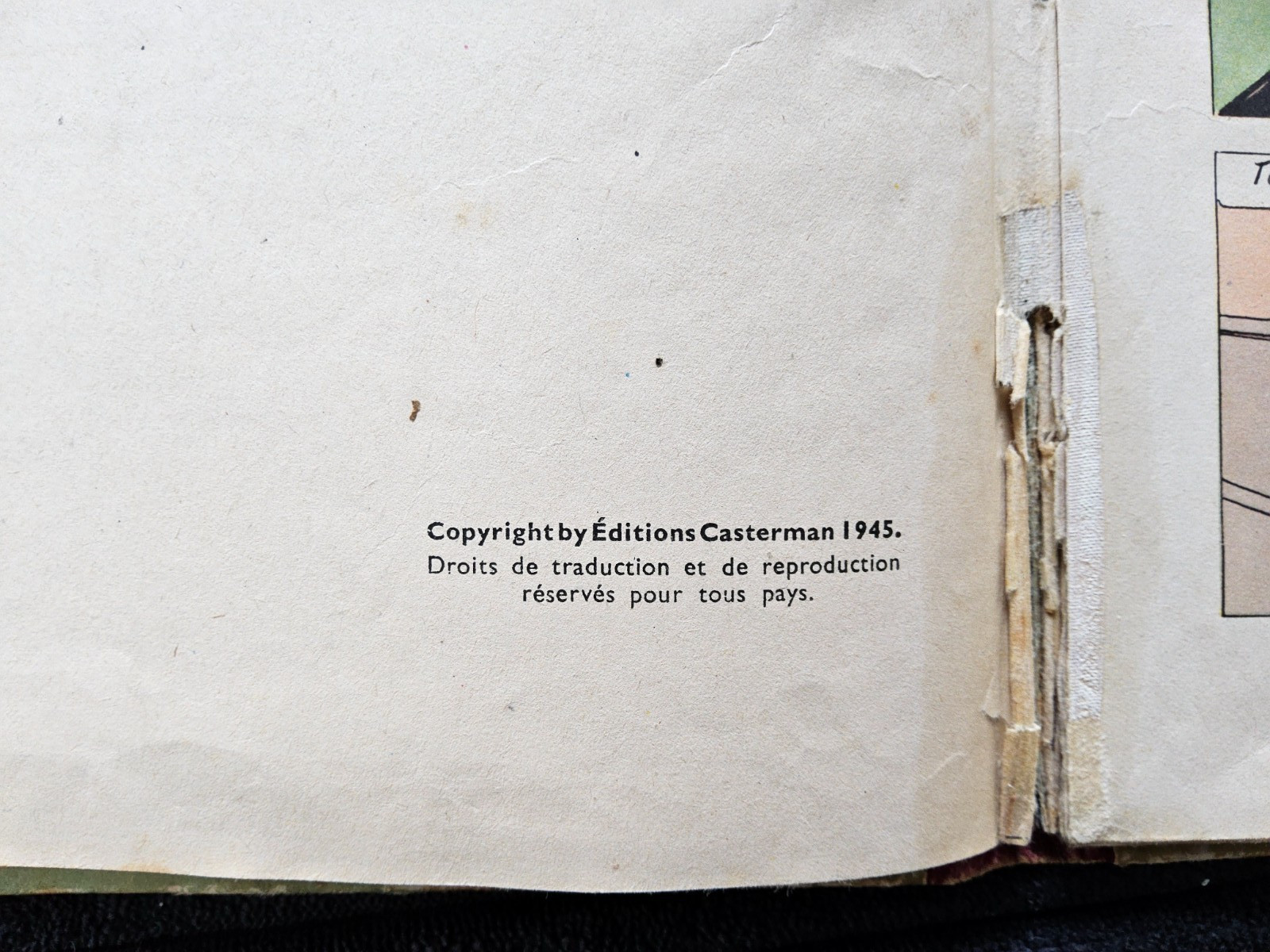 Image 7