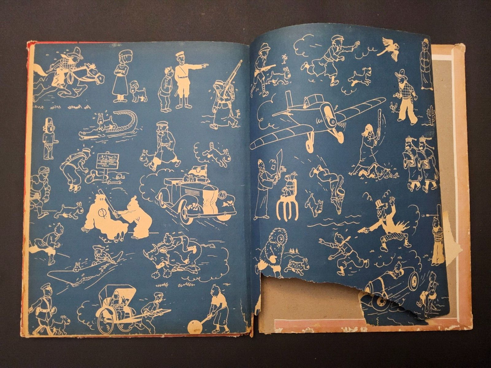 Image 6