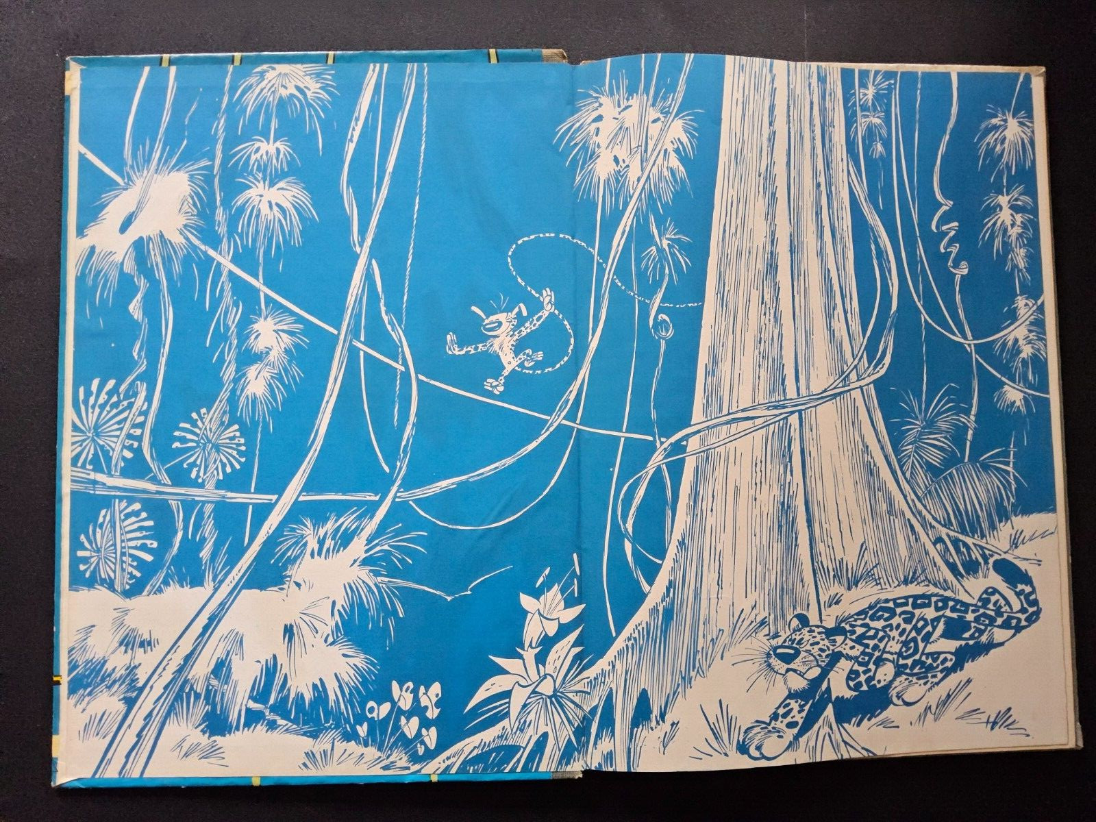 Image 3