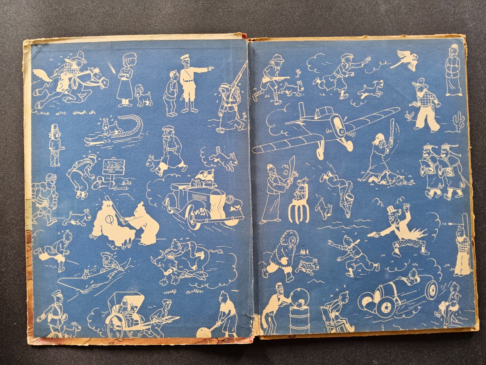 Image 5