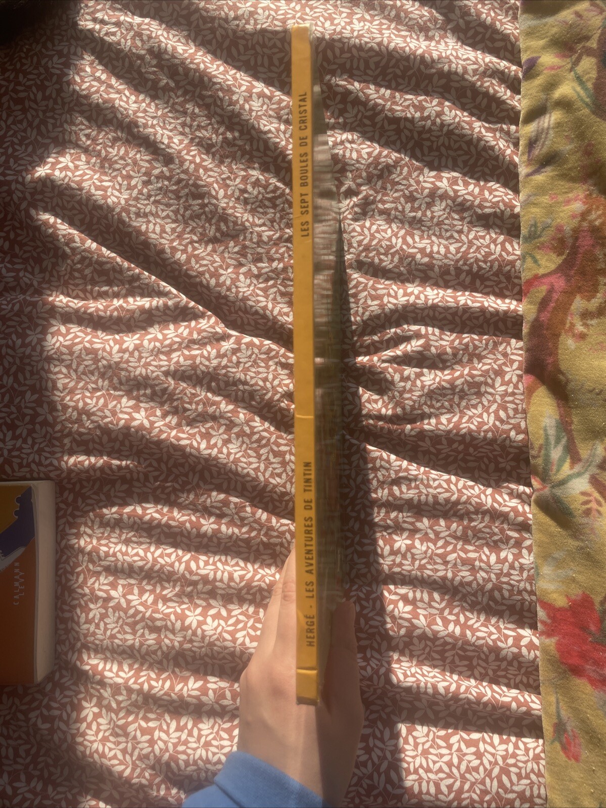 Image 4