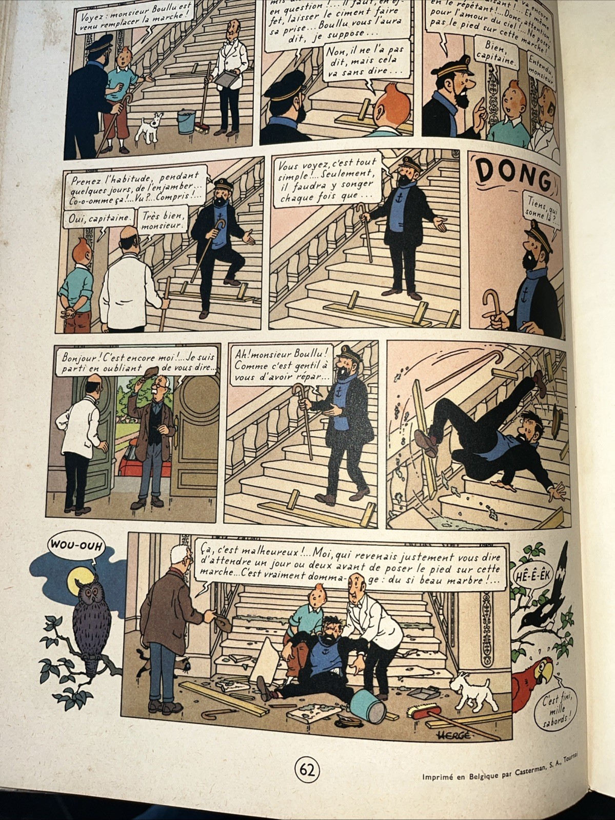Image 5