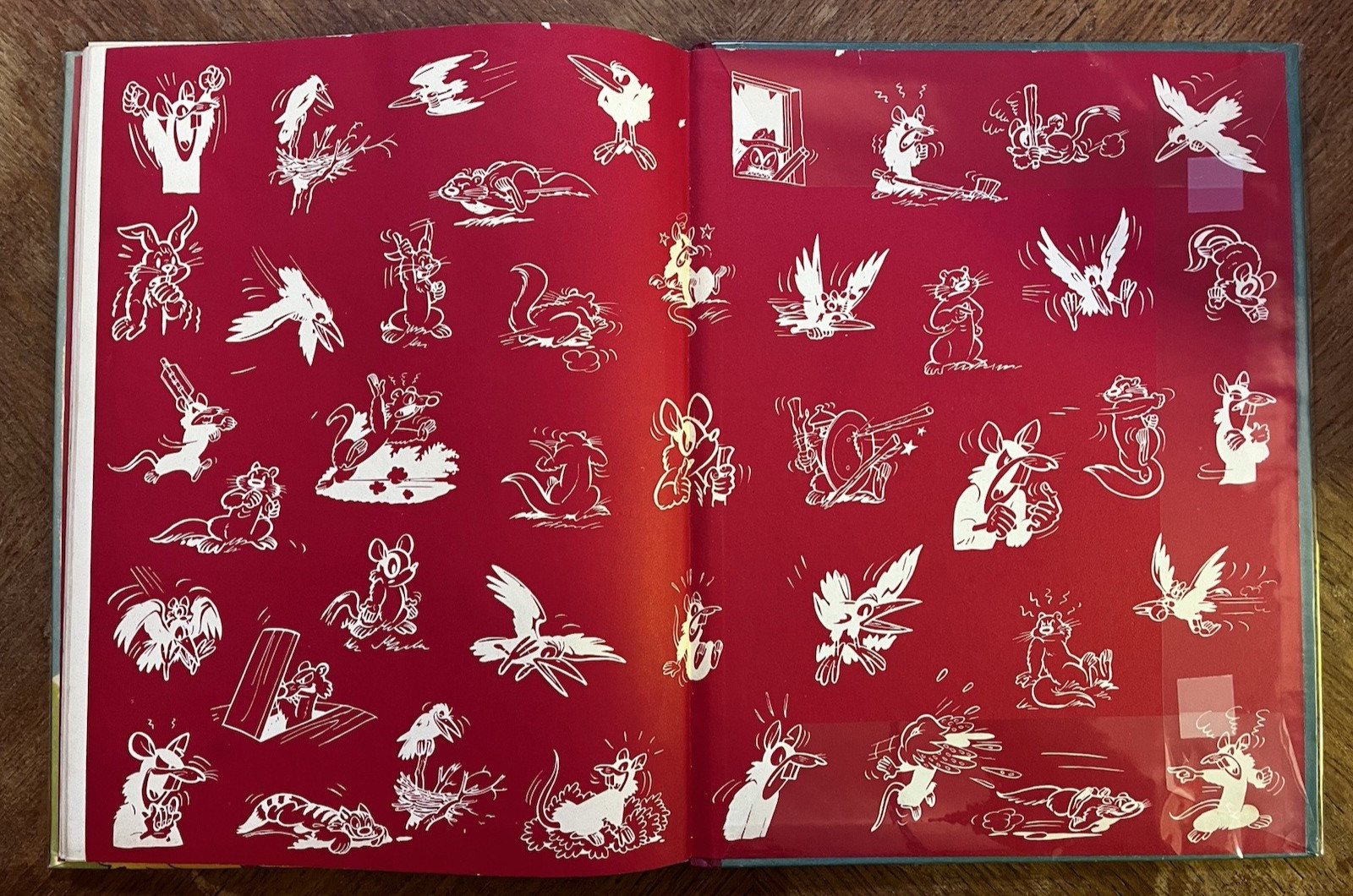 Image 15