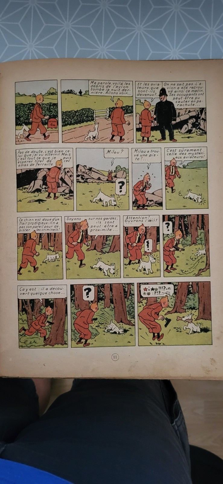 Image 5