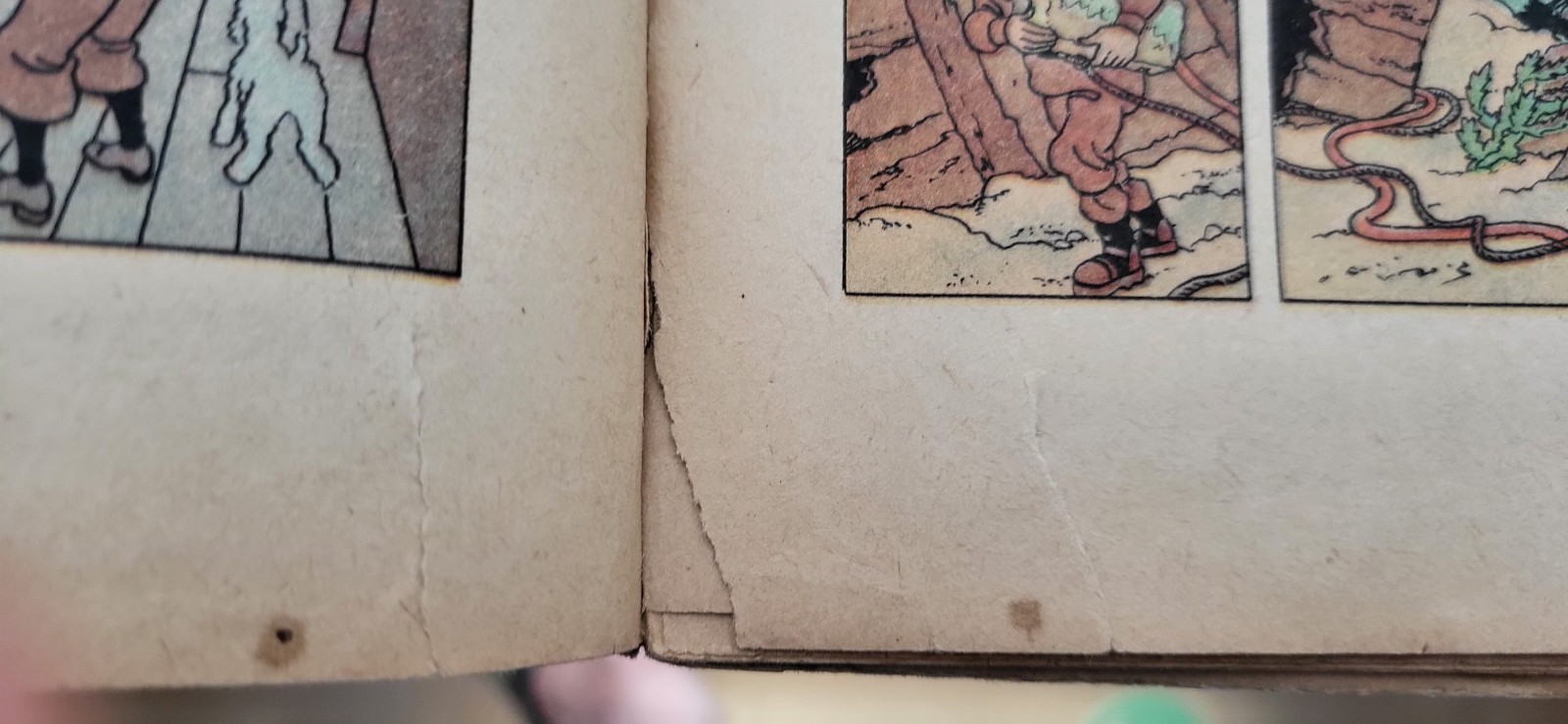 Image 8