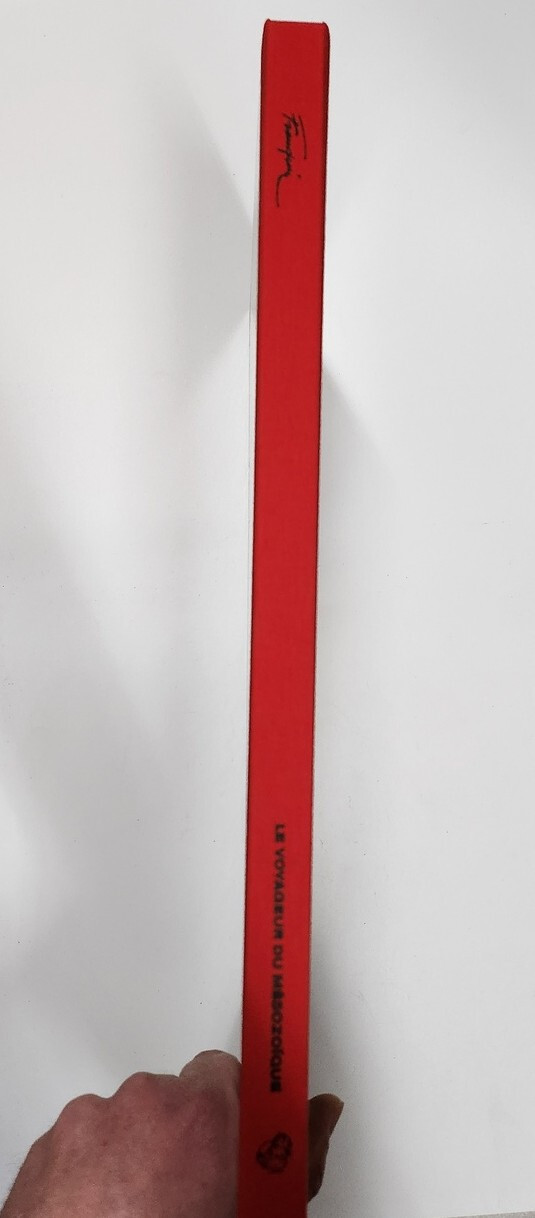 Image 7