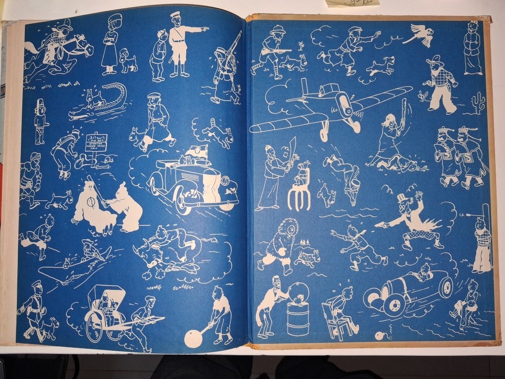 Image 7