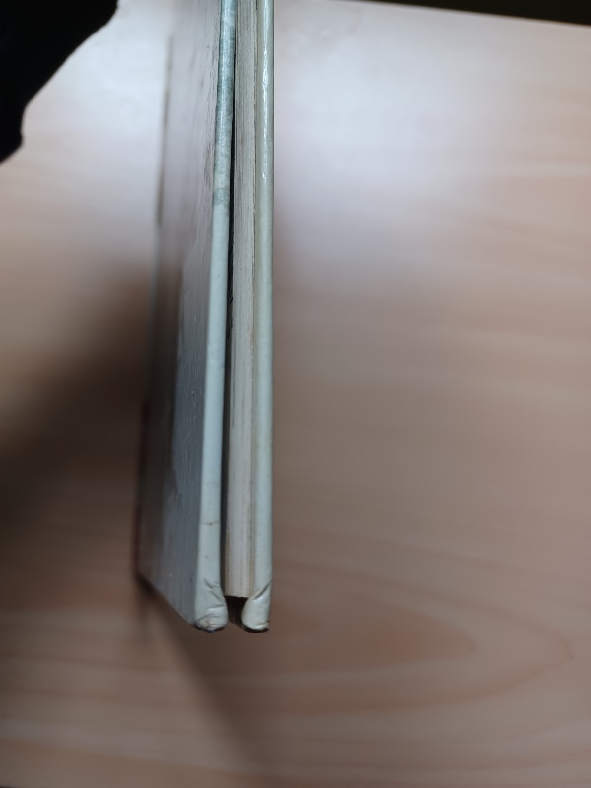 Image 12