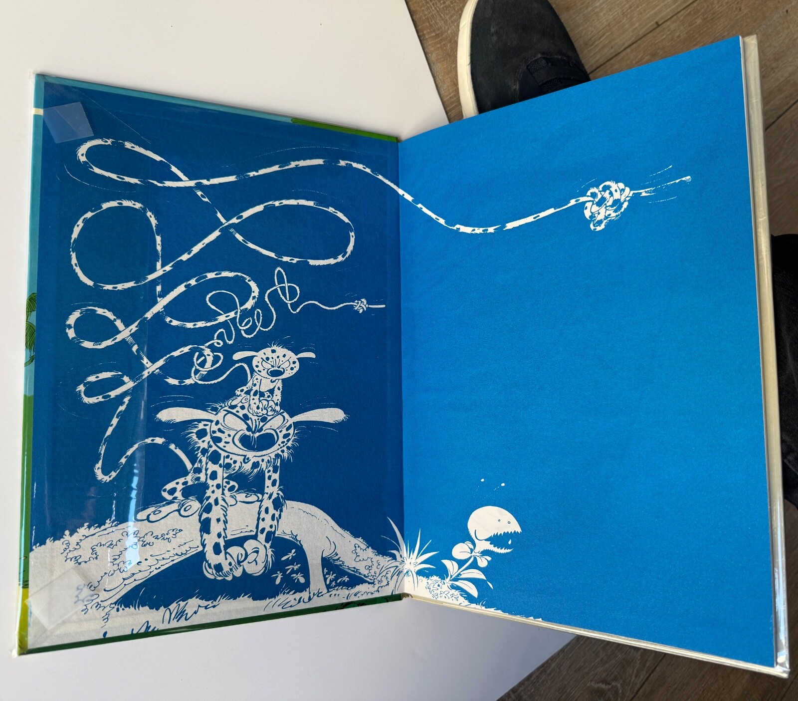 Image 4