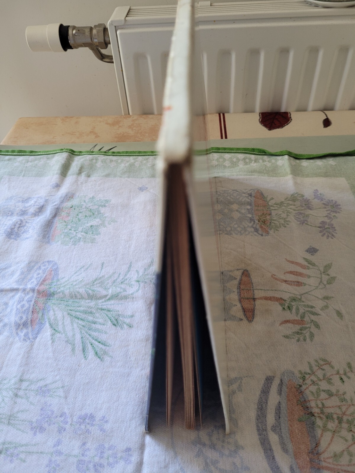 Image 13