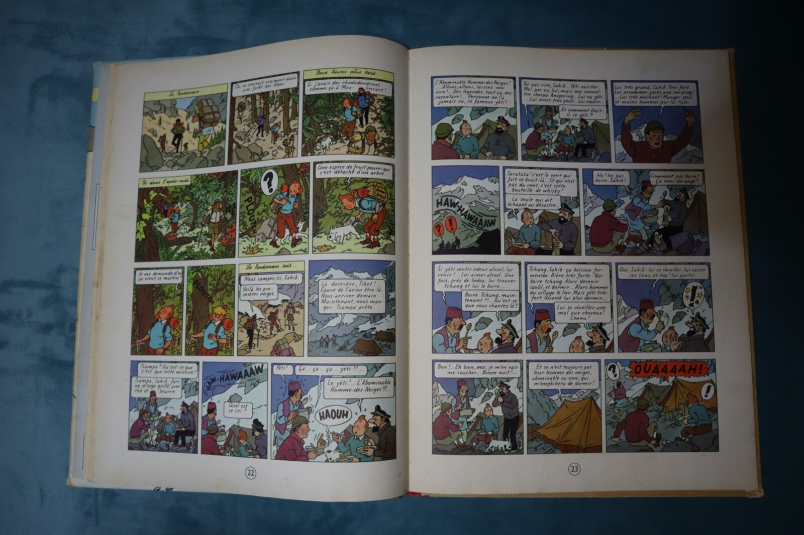 Image 5