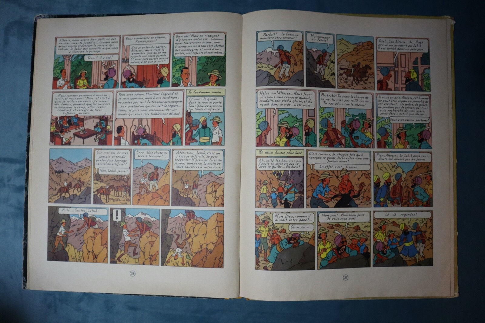 Image 5