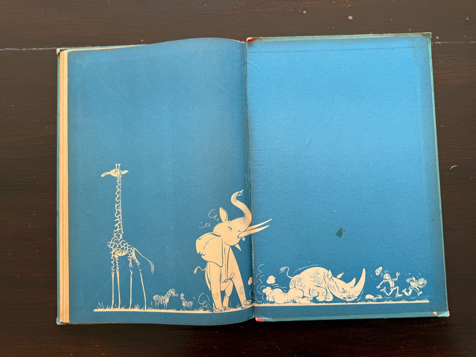 Image 10