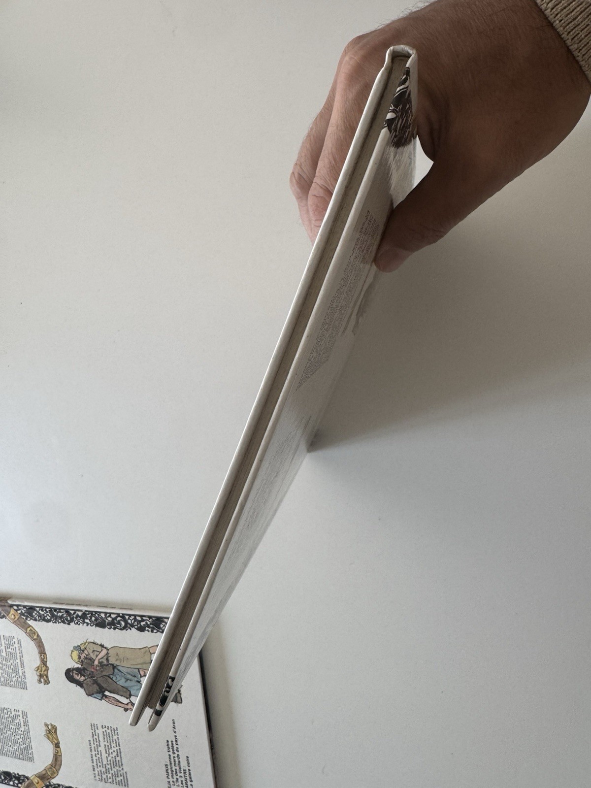 Image 5